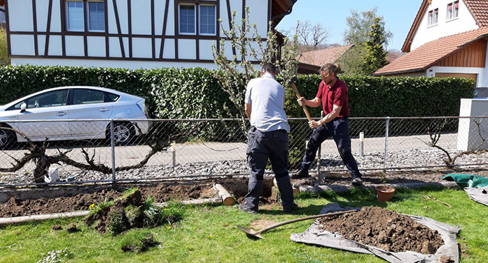 Rund ums Haus - Baum pflanzen